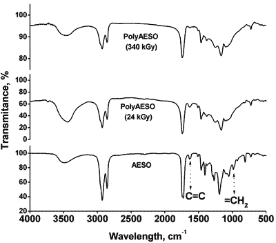 Gamma Irradiation Effect on Acrylated Epoxidized Soybean Oil